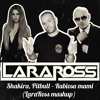 Shakira,Pitbull - Rabiosa mami (LaraRoss mashup)