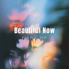 BEAUTIFUL NOW, TIAN TOX - (EDIT)