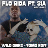 WILD ONES - FLO RIDA FT. SIA (TOMO Edit)