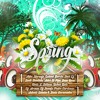 Various Artists - Pack Especial Spring (2020)