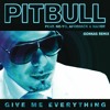 Pitbull - Give Me Everything (Techno Version)