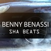 Benny Benassi FLP File