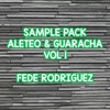 SAMPLE PACK ALETEO & GUARACHA VOL 1