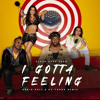 Black Eyed Peas - I Gotta Feeling (Robin Roij &