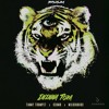 Timmy Trumpet x KSHMR x Mildenhaus - Ininna Tora