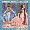 Me Gusta (Pablo Cruz Edit)