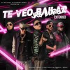 DJ Nelson ft Varios Artistas - Te veo bailar