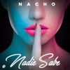 Nacho - Nadie Sabe (DjAlvaro Mambo RMX)