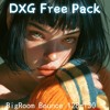 BigRoom Bounce 128-130 -🔥DXG Free Pack