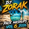 Dj Zorak - Pack Mashups Vol 6 2026
