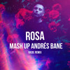 ROSA MASHUP ANDDRÉS BANE
