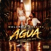 MALUMA SHAKIRA - AGUA (Dj Orlando INTRO EDIT)