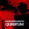 Martin Garrix, Brooks - Quantum | EVOGENES Flip