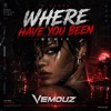Rihanna - Where Have You Been (Vemouz Remix)