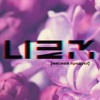 Ultima2m