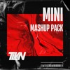 TLVN MINI MASHUP PACK