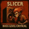 Bass Level Critical