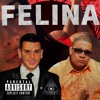 Hector Y Tito - Felina