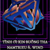 TÌNH ƠI XIN BUÔNG THA NAMTRIEU ft. WIND REMIX