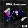 ROSALIA RAUW REMIX