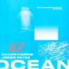 Calvin Harris - Ocean (Organic Mix)