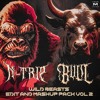 Wild Beatz Edit & Mashup Pack Vol.2