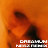 DREAMUM WAKEUPUM - NESZ REMIX