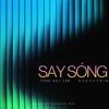 SAYSONG x DEEZAYBIN x MIX