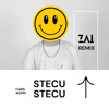 FARIS ADAM - STECU (ZAI REMIX)