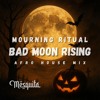 BAD MOON RISING