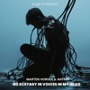 VOICE IN MY HEAD MASHUP