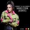 SHELTER VIP DOWNLOAD