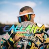 Bad Bunny - Callaita (Acapella)
