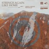 Strings Again Like Home