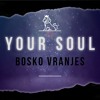 BOSKO VRANJES - YOUR SOUL (ORIGINAL MIX)