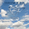 YOU'LL BE IN MY HEART (FARIZM X AUL AMAPIANO REM