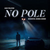 NO POLE RMX