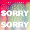 Joel Sorry - Sorry ACAPELLA