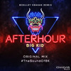 Afterhour - Big Kid (Weslley Chagas Remix)