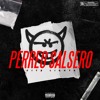 CITY LIGHTS - PERREO SALSERO