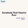 Somebody That I used to know (TSUKI MIAMI BASS)