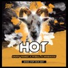 Daddy Yankee x Pitbull x Mix&Noise - Hot (Edit)