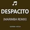 Despacito (Marimba Ringtones Remix)