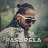 Dalmata - Pasarela