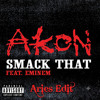 Smack That (Aries Edit)