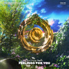 Feelings For You (Extended Mix) DL