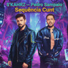 S`KAHRZ FT PEDRO SAMPAIO - SEQUENCIA CUNT (MASH)