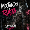 Mojando la rata - ivan salas remix