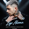 Kidd x Likeboss x Aiolia Nova - LIgo Akoma