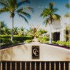 Capcana cocoa blessd